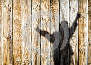 Shadow reflection on a wooden wall background