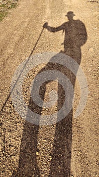 Shadow silhouette of male hiker walking on dirt road with stick in hand