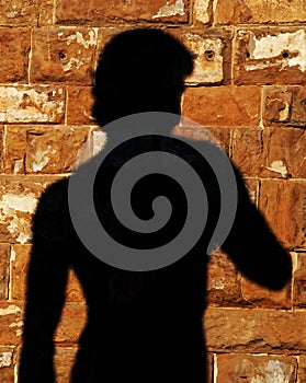 The shadow of the statue of Neptune projected on a wall in Piazza della Signoria in Florence.