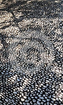 Shadow of tree branches on stone floor