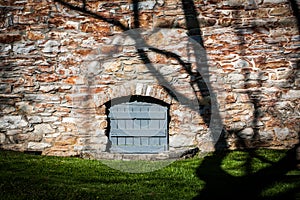 Shadow of Tree Cast onto Old Stone Wall