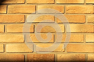 The shadow of the tree falls on the stone wall