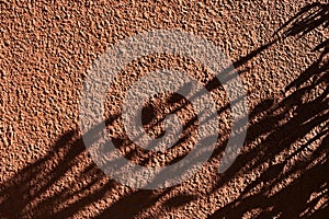 Shadow of a tree on an red wall