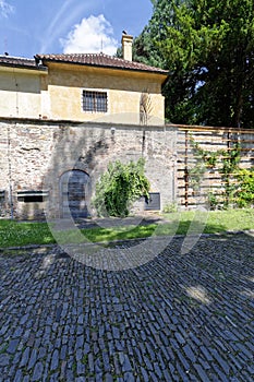 Shadow of tree on stone floor
