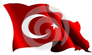 Shadow turkey flag