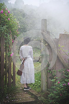 Shadow of woman with violin