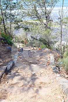 Shadowed Path through Trees - Walk in Nature