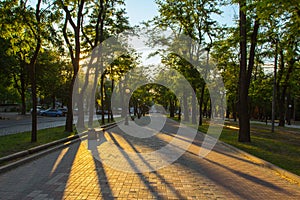 Shadows on the alley in the city of Dnipro at sunset. Ukraine