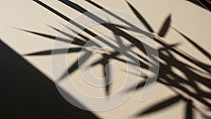 The dark shadows and the light background emphasizing the linear