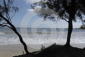 Shadows on the beach photo