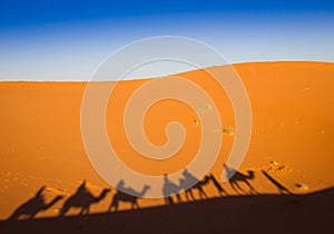 Shadows camel caravan on the desert sand