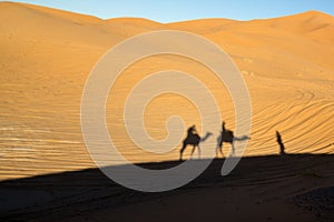 Shadows of the camel ride