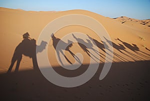 Shadows of camel riders