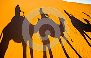 Shadows of Camels in the sand of the Sahara desert - Morocco