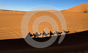 The shadows of the caravan on the hot sand of the sahara desert