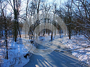 Allerton Park Winter Landscape