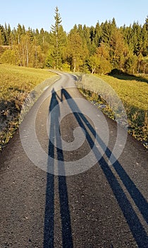 Shadows of a couple on a country road