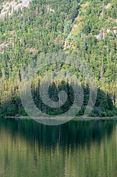 Shadows crossing over trees on the shore of Pinetree Lake near Dease Lake, British Columbia, Canada