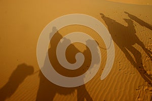 Shadows in the desert