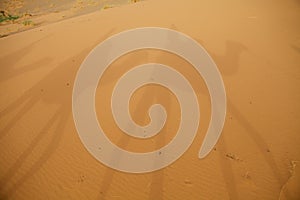 Shadows on the desert sand