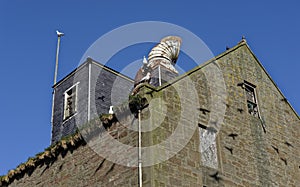 Shadows of Flying birds cast onto the walls of a derelict Warehouse Building at Montrose Port