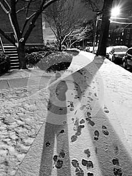 Shadows and footprints in the Snow