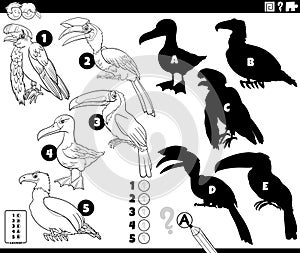 shadows game with cartoon birds coloring page