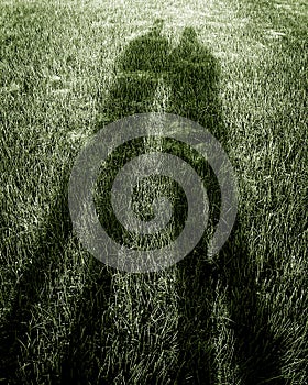 Shadows on Green Grass