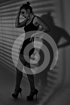 Shadows and Lines of a Model in Monochrome