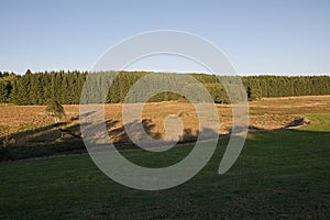 Shadows near Reitzenhain village in german Ore mountains on 21th september 2019