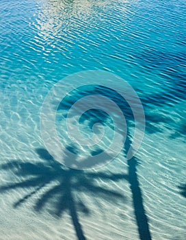 Shadows of palm leaves on Rippling blue Water Surface, tropical background