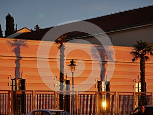 Shadows from palm trees on the facade of a building in the rays of the sun