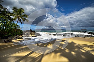 Shadows of palm trees at Secret beach, Maui, Hawaii, USA