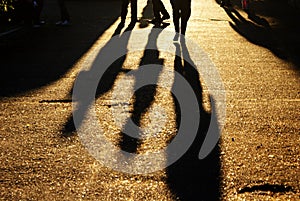 Shadows of people on road