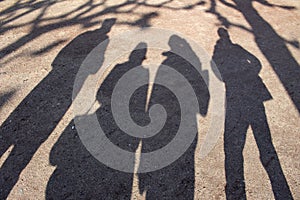 Shadows of people and trees in the gravel