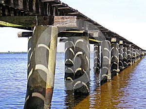 Shadows on Pilings