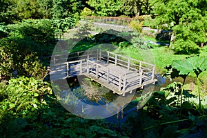 Shadows and reflections in the garden