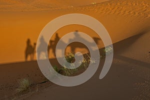 Shadows in the sand of people on a camel through the Sahara desert. Erg Chebbi Merzouga Morocco
