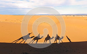 Shadows on the sand in Sahara desert in Merzouga, Morocco. Camel caravan on the desert in Africa. Tourist excursion camel riding