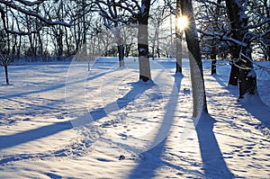 Shadows on the Snow