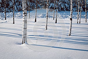 Shadows on the snow