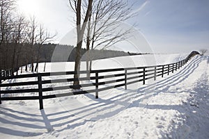 Winter Fenceline