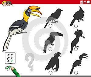 Shadows task with cartoon hornbill bird animal character