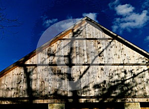 Shadows through tree branches create texture on the wooden