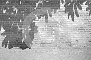 Shadows of tree leaves, plants. Brick wall. Sidewalk, road. Street, outdoor, nature. Background. 3d. Empty space. Mockup.