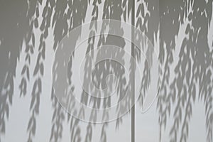 Shadows from the trees falling on the fence.