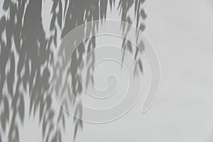 Shadows from the trees falling on the fence.