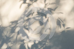 Shadows from the trees falling on the fence.