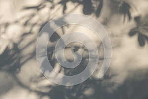 Shadows from the trees falling on the fence.