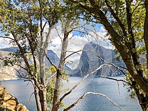 Shadows on Trees and Hetch Hetchy Mountains